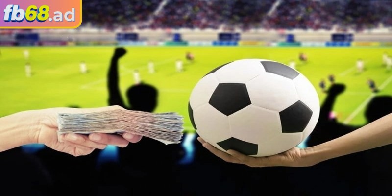 Giải thích về kèo 1/2 FB68