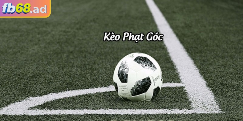 Thuật ngữ quan trọng bắt buộc phải nhớ