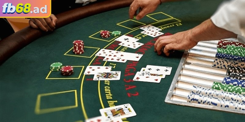 Hiểu rõ các thuật ngữ giúp đưa ra lựa chọn chính xác